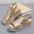 Studio product shot of gold crocodile-print platform wedges placed beside a cream box, showing both shoes from the front